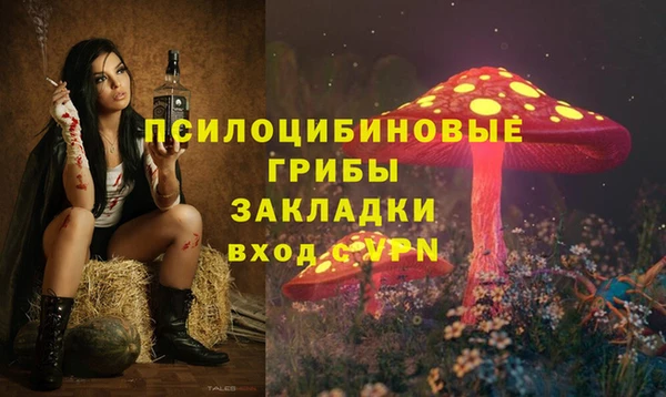 СК Аркадак