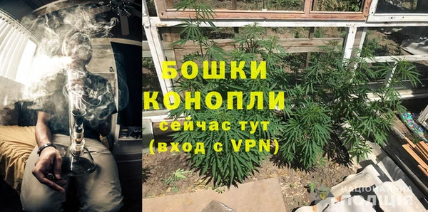 трава Армянск